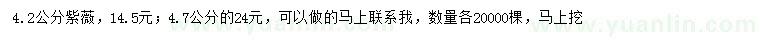 求購4.2、4.7公分紫薇