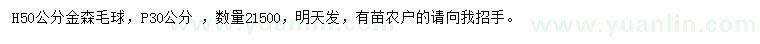 求購高50公分金森毛球
