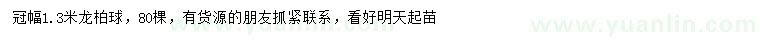 求購冠幅1.3米龍柏球