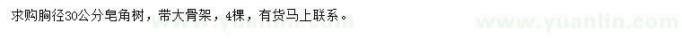 求購胸徑30公分皂角樹