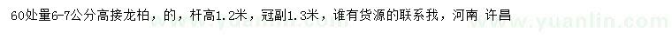求購60量6-7公分龍柏