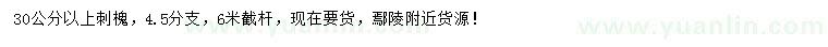 求購30公分以上刺槐