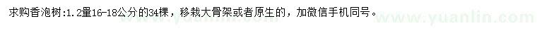 求購1.2量16-18公分香泡樹