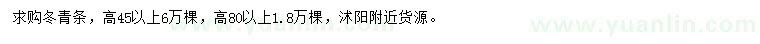求購高45公分以上冬青條