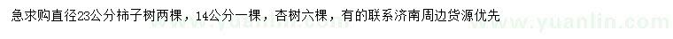 求購直徑23公分柿子樹