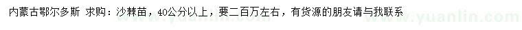 求購40公分以上沙棘苗