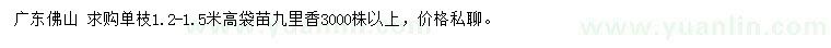 求購單枝高1.2-1.5米九里香袋苗