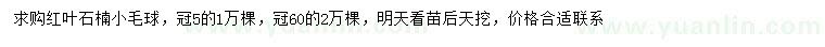 求購(gòu)冠幅50、60公分紅葉石楠小毛球
