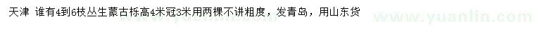 求購高4米叢生蒙古櫟