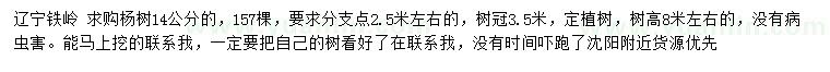 求購14公分楊樹