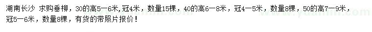 求購高30、40、50公分垂柳