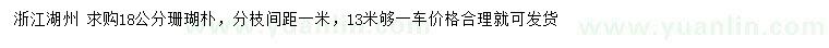 求購18公分珊瑚樸