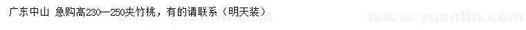 求購高23-25公分夾竹桃