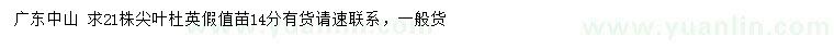 求購14公分尖葉杜英假值苗