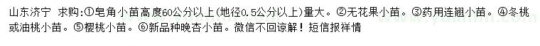 求購皂角小苗、無花果小苗、連翹小苗等