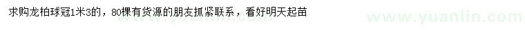 求購(gòu)冠1.3米龍柏球