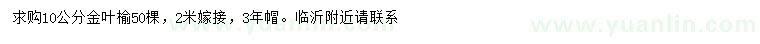 求購10公分金葉榆5