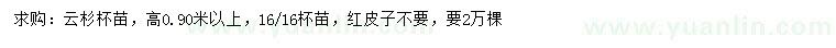 求購高0.9米以上云杉杯苗