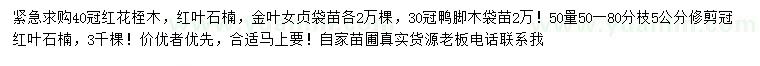 求購(gòu)紅葉石楠、金葉女貞、鴨腳木等