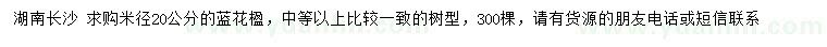 求購米徑20公分藍(lán)花楹