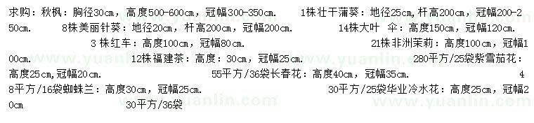 求購(gòu)秋楓、壯桿蒲葵、美麗針葵等
