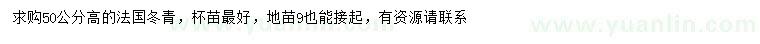 求購高50公分法國冬青