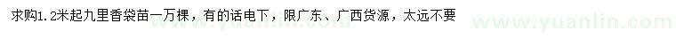 求購1.2米起九里香袋苗