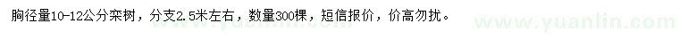 求購(gòu)胸徑10-12公分欒樹