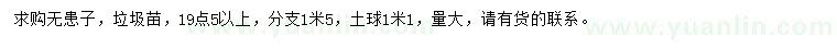 求購19.5公分以上無患子