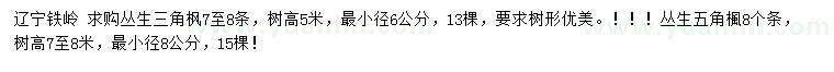 求購7-8條叢生三角楓、8條叢生五角楓