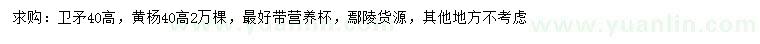 求購(gòu)高40公分衛(wèi)矛、黃楊
