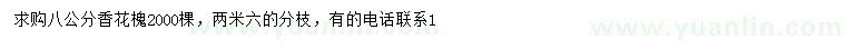 求購(gòu)8公分香花槐