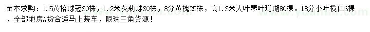 求購黃榕球、灰莉球、黃槐等