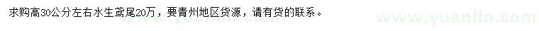 求購(gòu)高30公分左右水生鳶尾