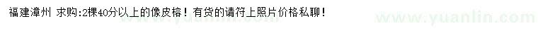 求購40公分以上像皮榕