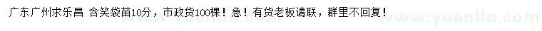 求購10公分樂昌含笑袋苗