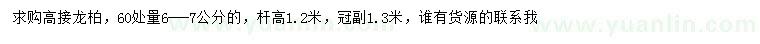 求購(gòu)60處量6-7公分高接龍柏