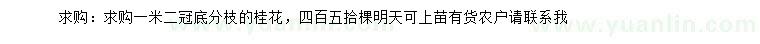 求購(gòu)冠1.2米低分枝桂花