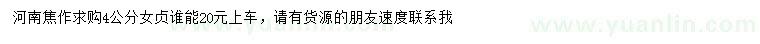 求購4公分女貞