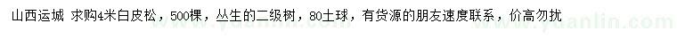 求購(gòu)4米白皮松
