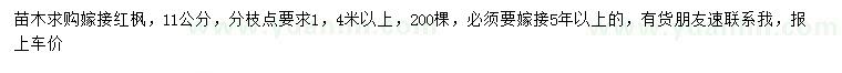 求購11公分嫁接紅楓