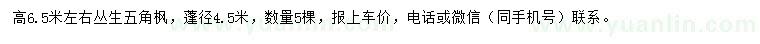 求購高6.5米左右叢生五角楓