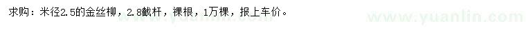 求購米徑2.5公分金絲柳