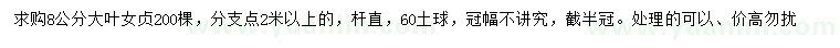 求購8公分大葉女貞