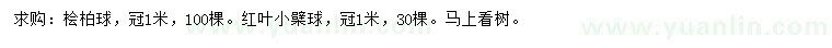 求購冠1米檜柏球、紅葉小檗球