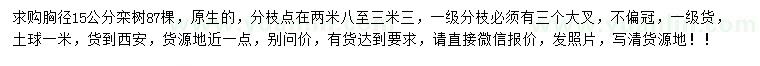 求購胸徑15公分欒樹