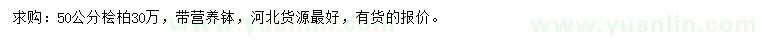 求購50公分檜柏