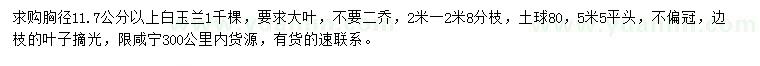 求購胸徑11.7公分以上白玉蘭