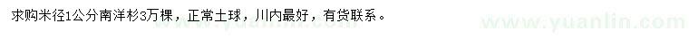 求購米徑1公分南洋杉