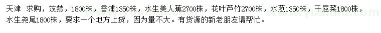 求購茨菰、香浦、水生美人蕉等